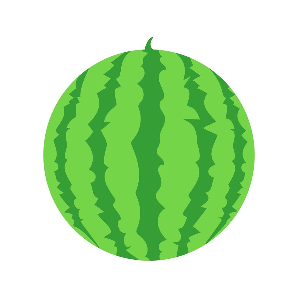 watermelon vector icon