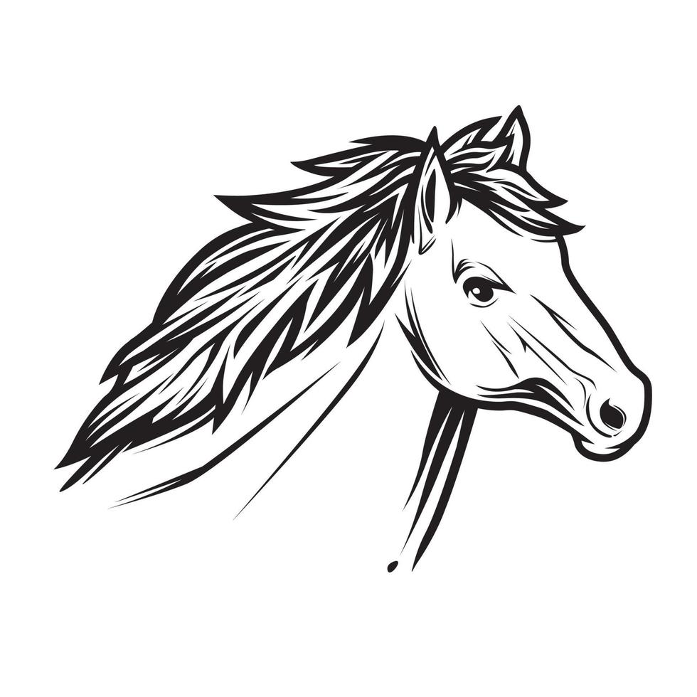 Vector horse head