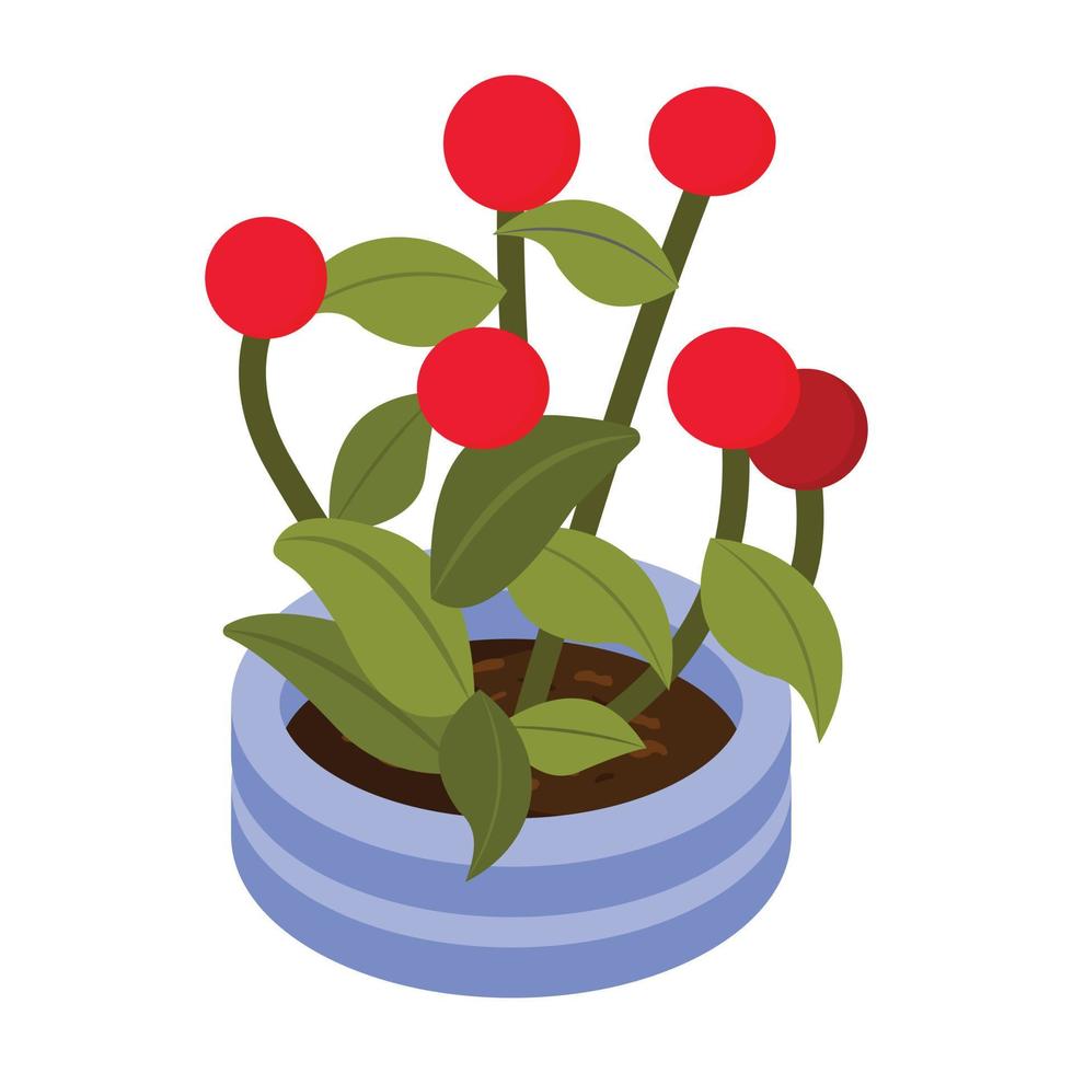 Catch a sight of this amazing isometric icon of potted plant vector