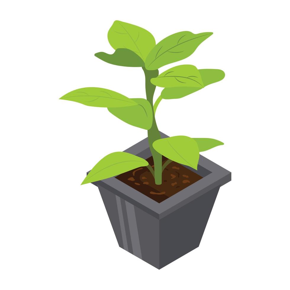 House decoration, an isometric icon of plant vector