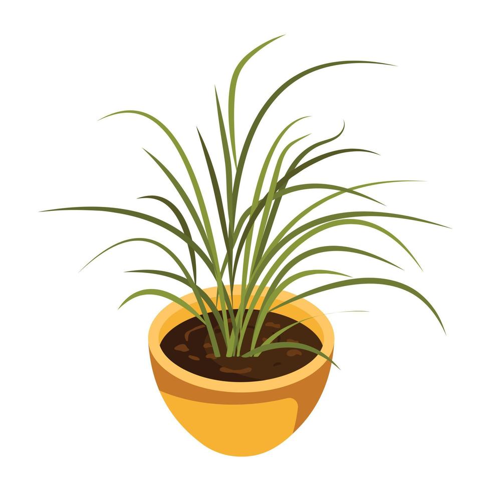 House decoration, an isometric icon of plant vector