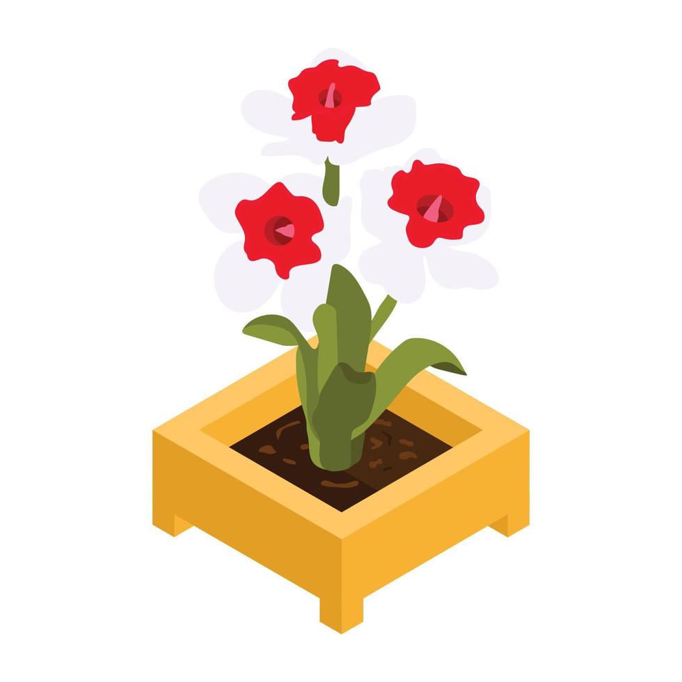 Have a look at this isometric icon of flower pot vector