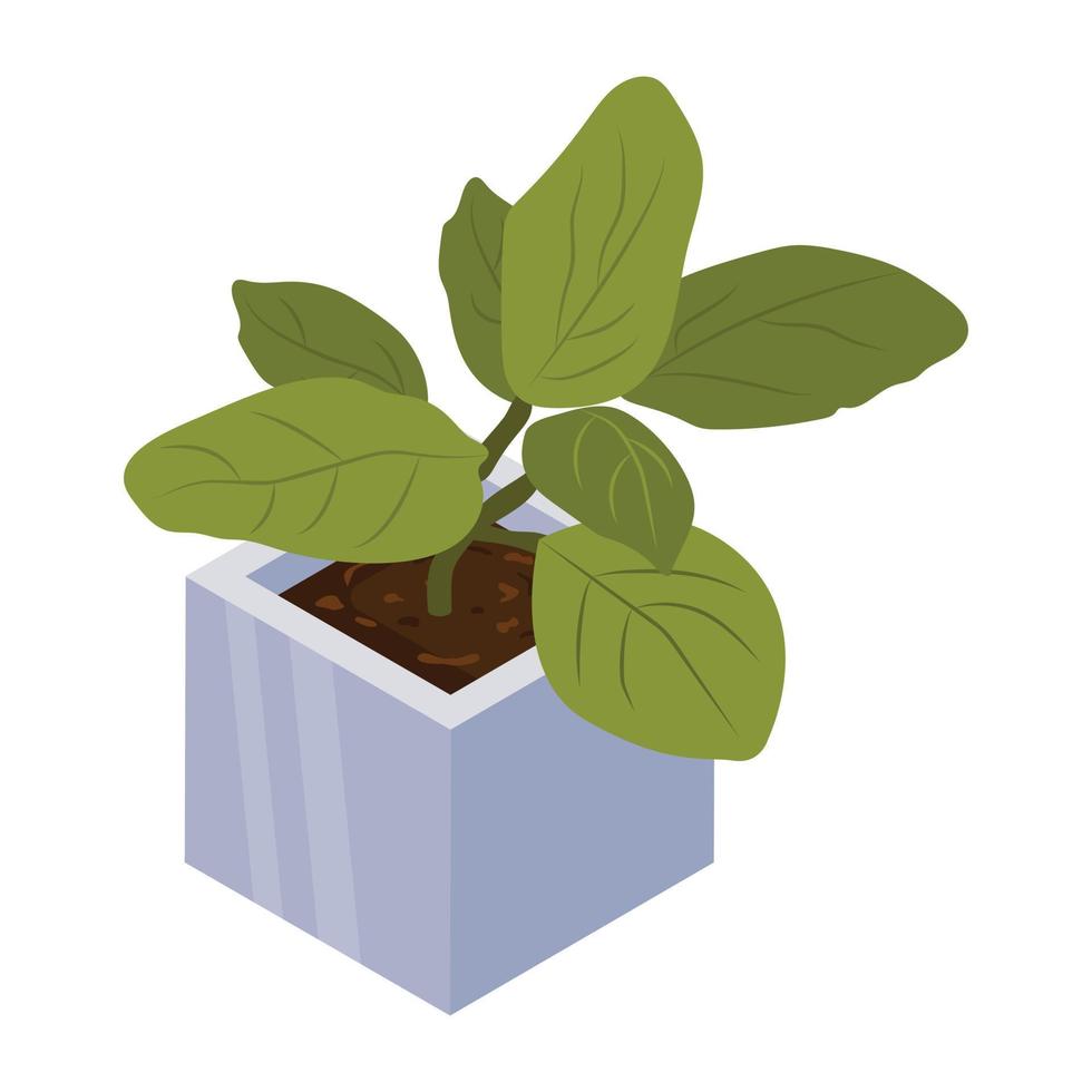House decoration, an isometric icon of plant vector