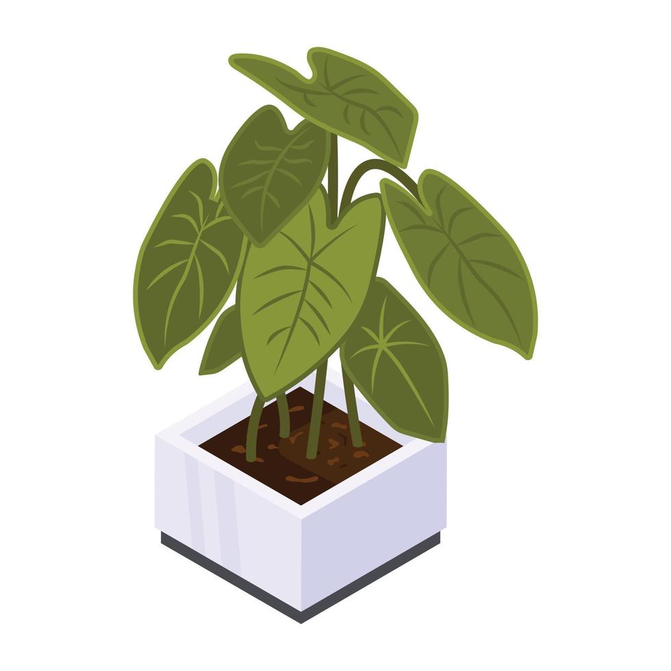 House decoration, an isometric icon of plant vector