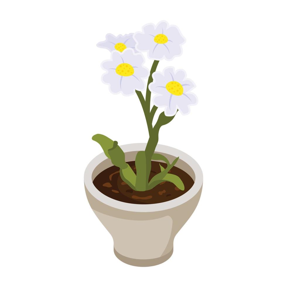 Have a look at this isometric icon of flower pot vector