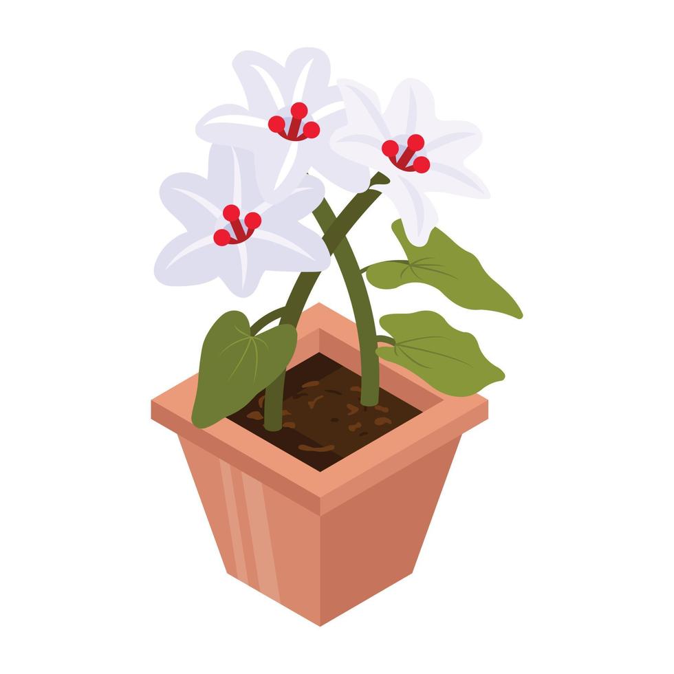 Have a look at this isometric icon of flower pot vector