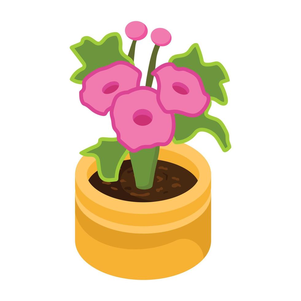 Have a look at this isometric icon of flower pot vector