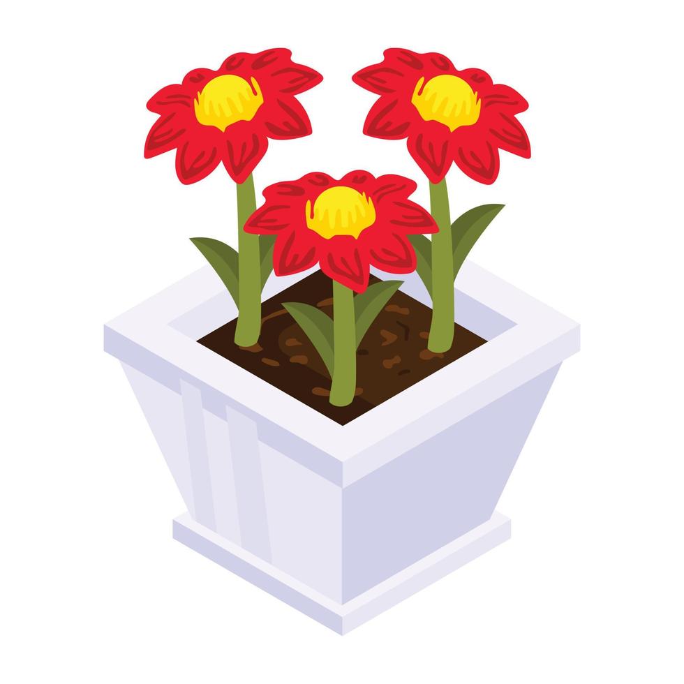 Have a look at this isometric icon of flower pot vector