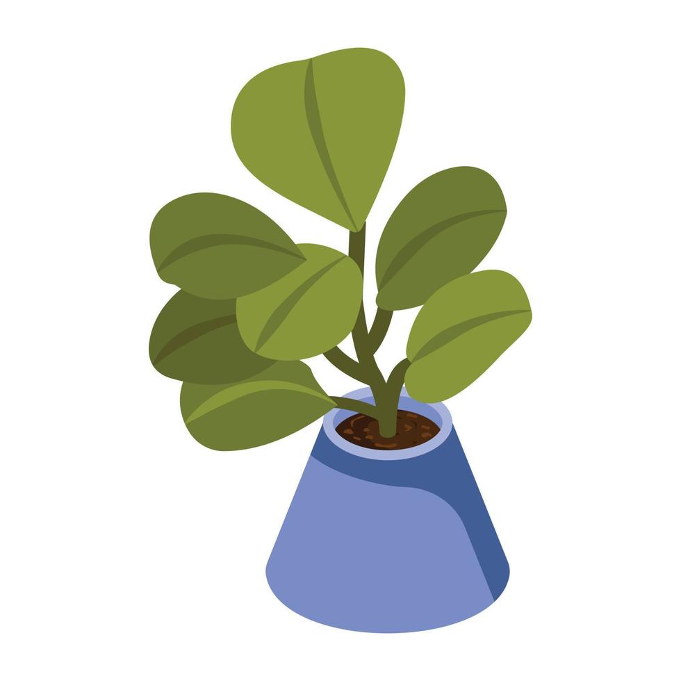 House decoration, an isometric icon of plant vector