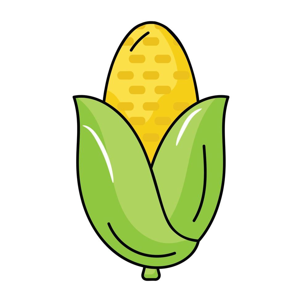 A well-designed flat icon of corn vector