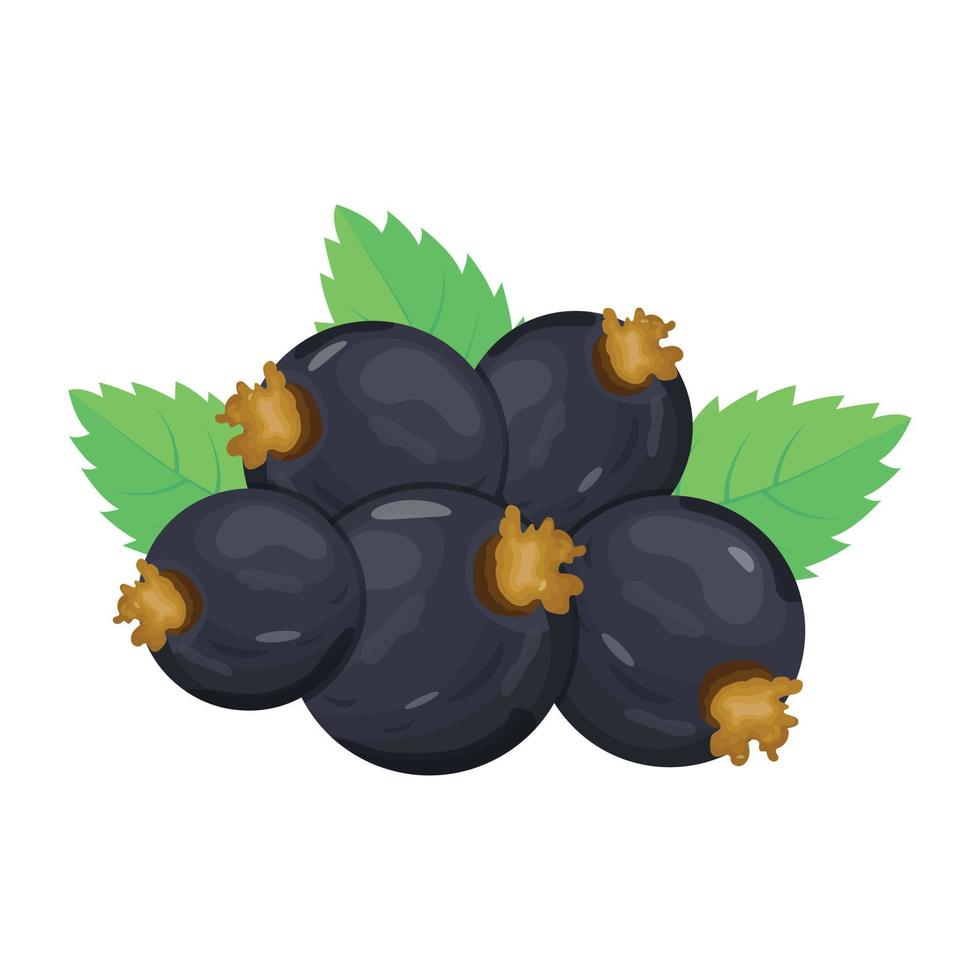 Yummy blackcurrant, isometric icon with editable facility vector