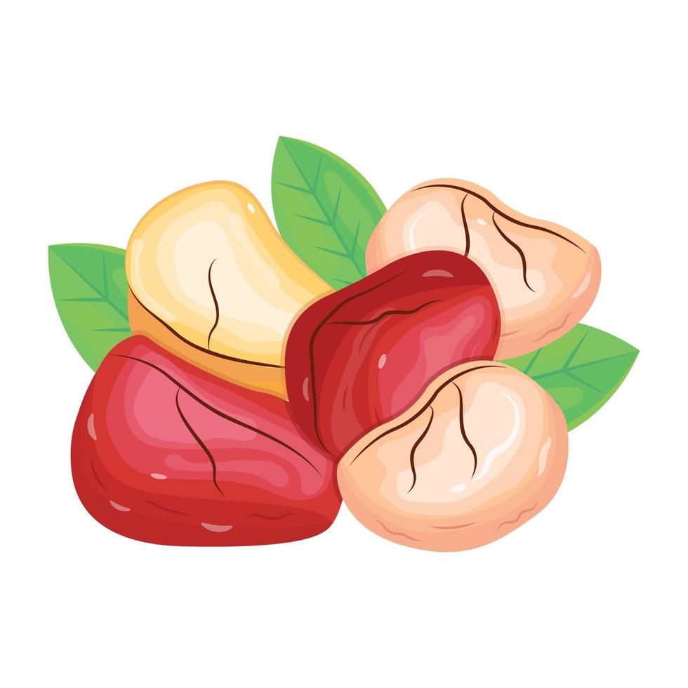 Download premium isometric icon of kola nuts vector