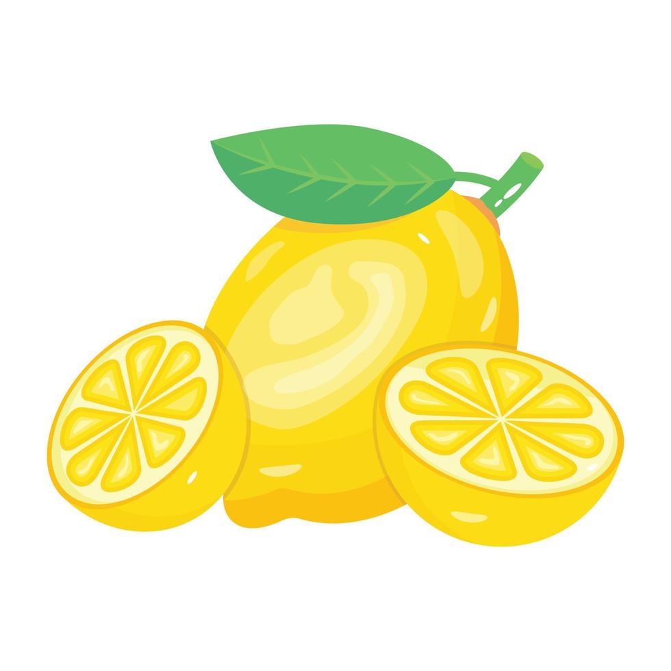 Citrus fruit, an isometric icon of lemon vector