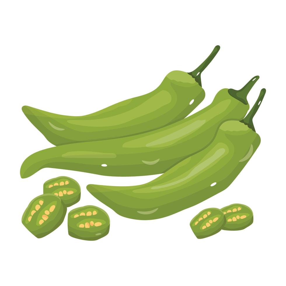 Spicy food ingredient, an isometric icon of green chilies vector