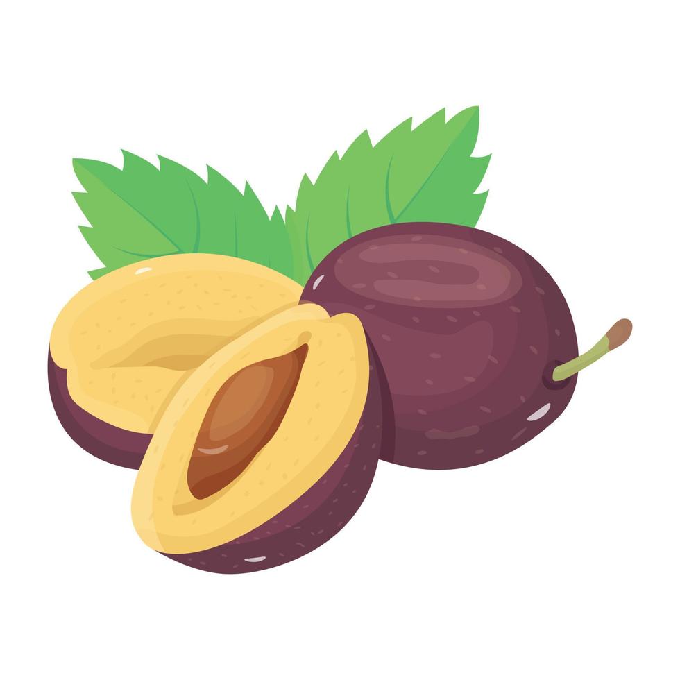 Visually appealing isometric icon of plum vector