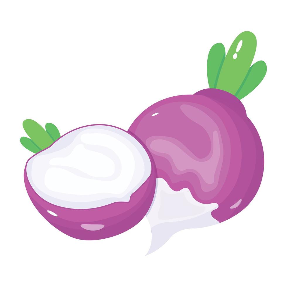 An isometric icon of turnip, root vegetable vector