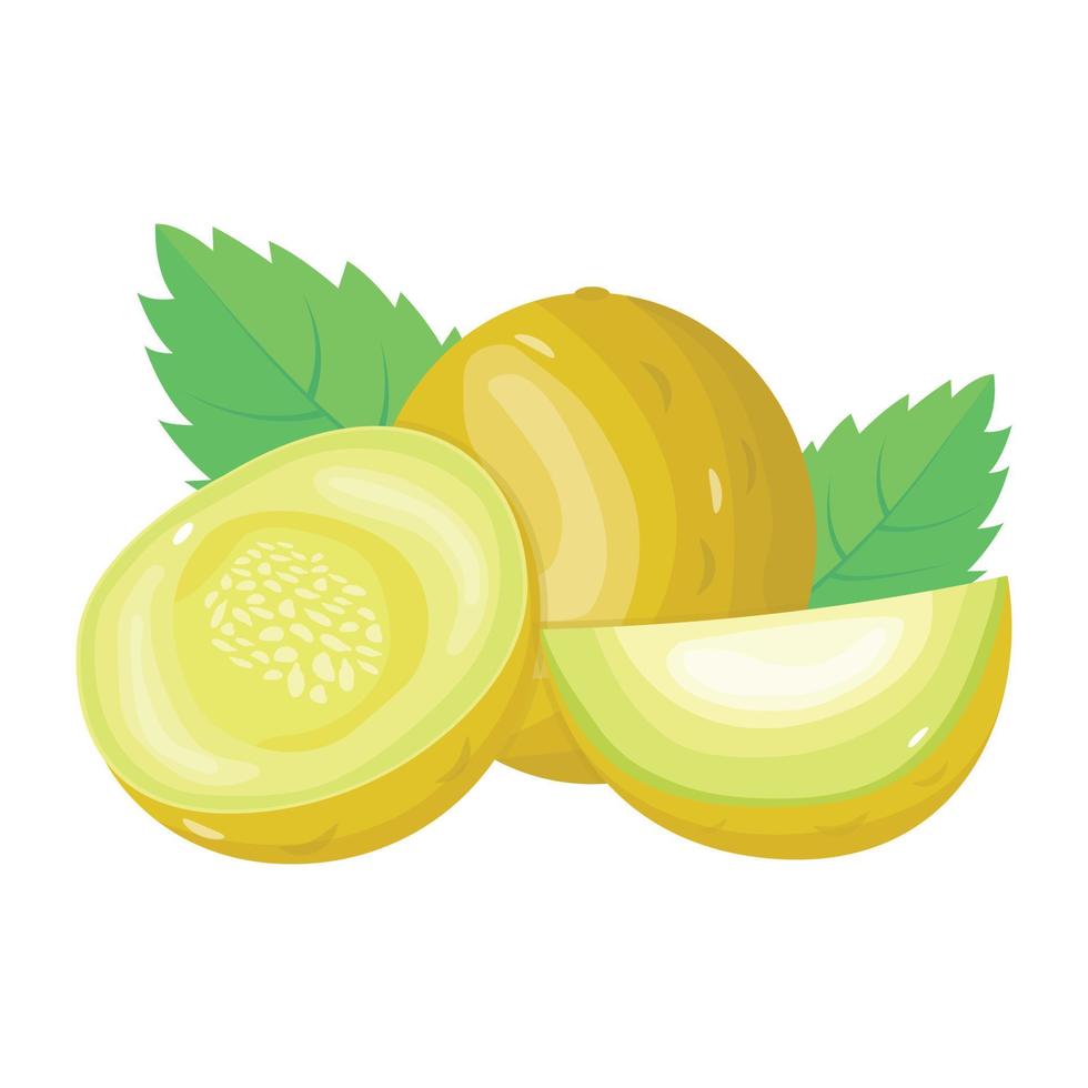 An icon of cantaloupe in isometric style vector