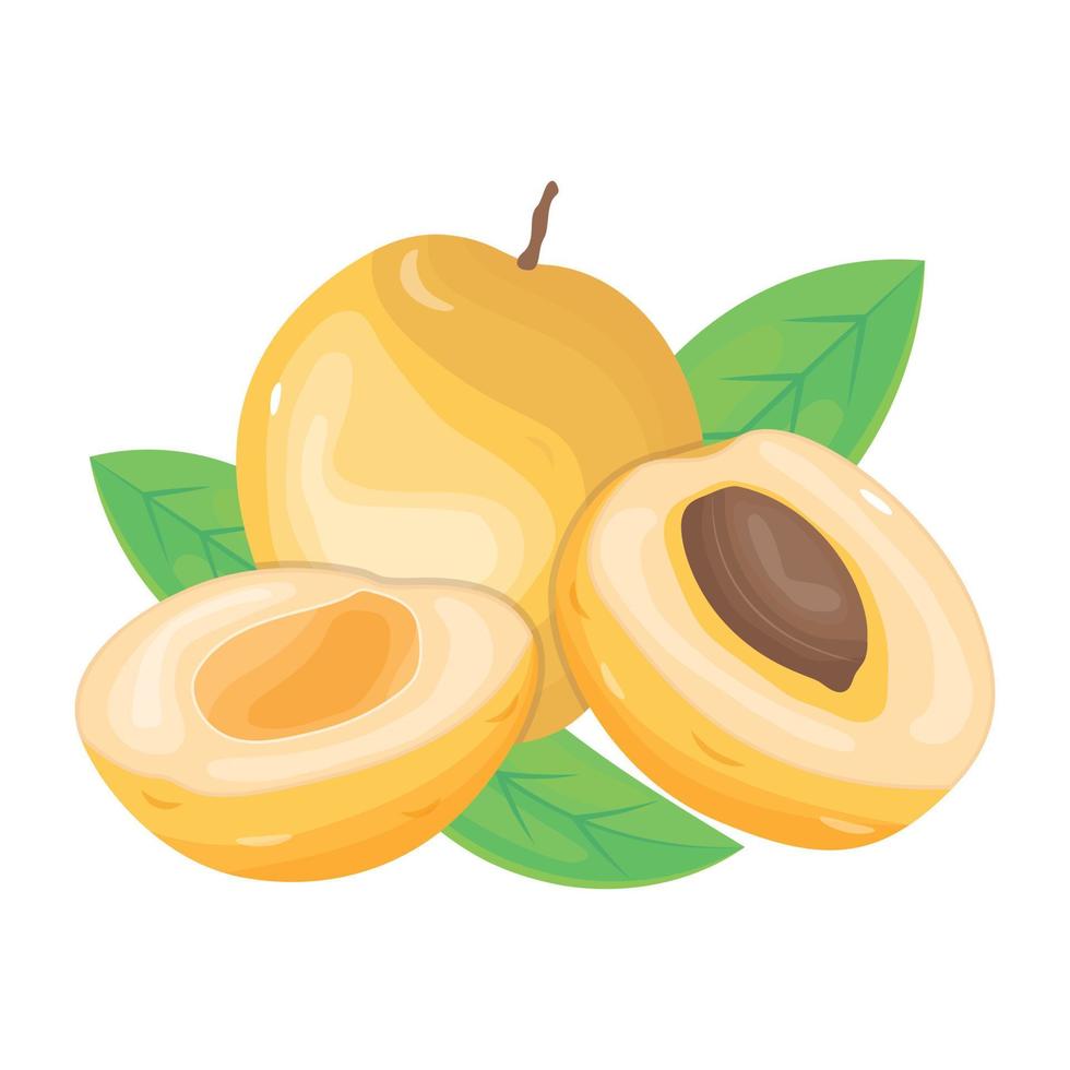 deliciosos albaricoques icono isométrico, diseño vectorial vector