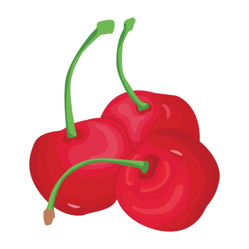 A captivating isometric icon of cherries vector