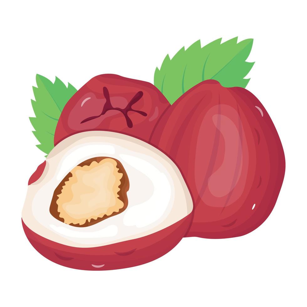 Descriptive get hold of this amazing isometric icon of malay apple vector