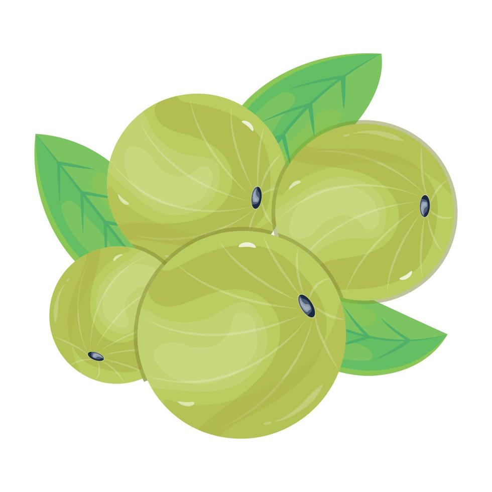 Modern isometric icon of amla, food ingredient vector