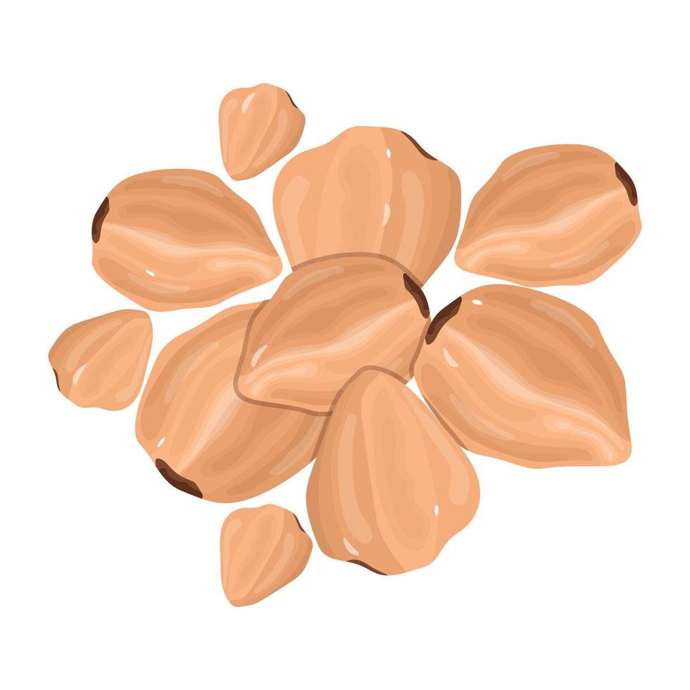 Download premium isometric icon of buckwheat vector