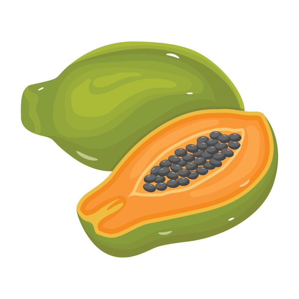 un ícono isométrico editable de papaya vector