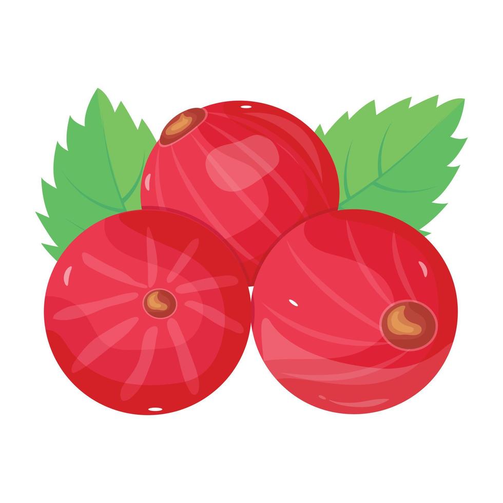 An isometric icon of cranberries in vector format