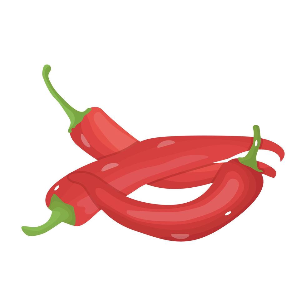 Spicy food ingredient, an isometric icon of red chilies vector