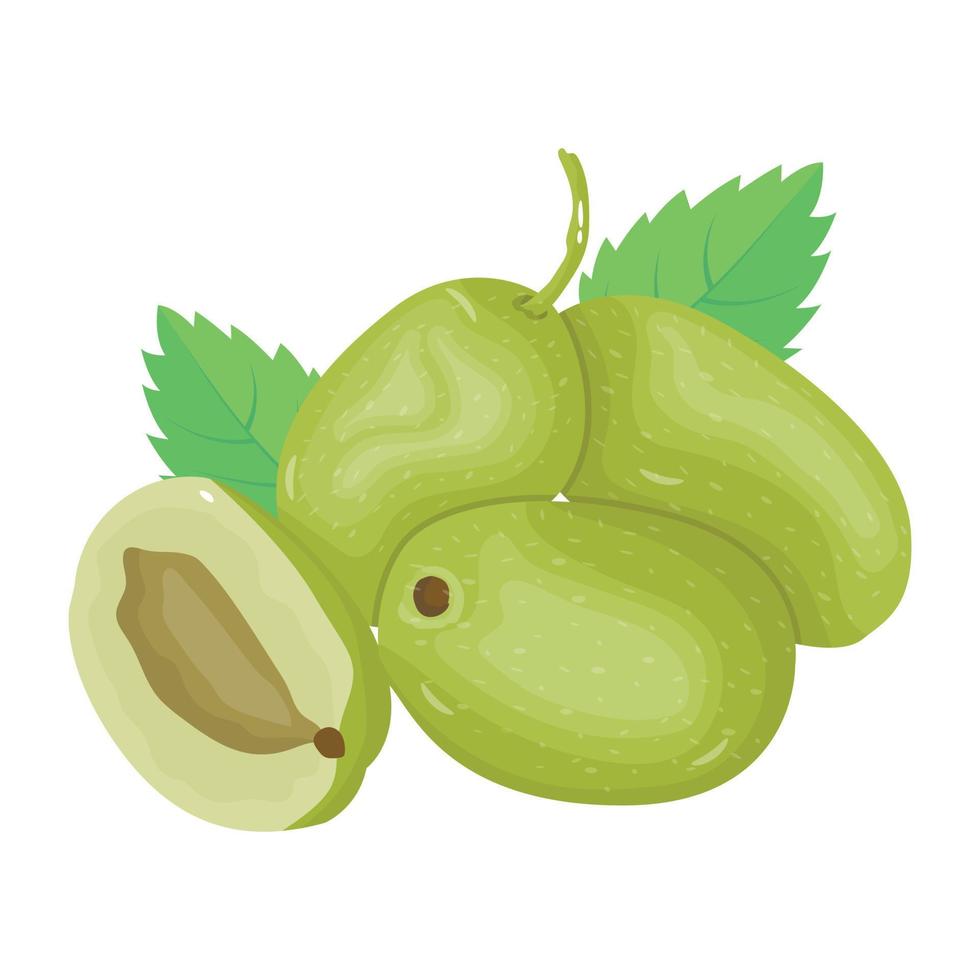 Modern isometric icon of green mangoes vector