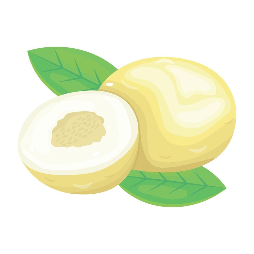 Have a look at this isometric icon of cucumis melo vector