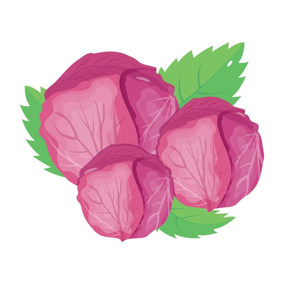 Catch a sight of this isometric icon of red cabbage vector