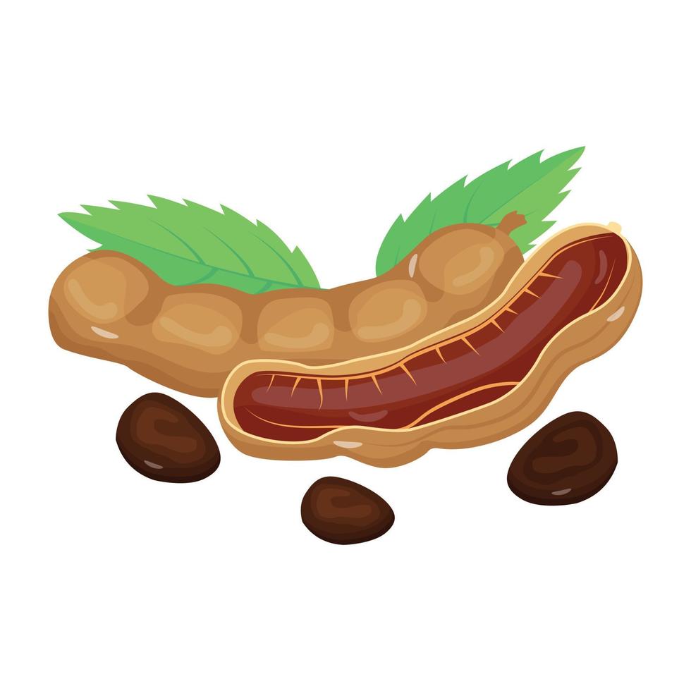 Check out this isometric icon of tamarind vector