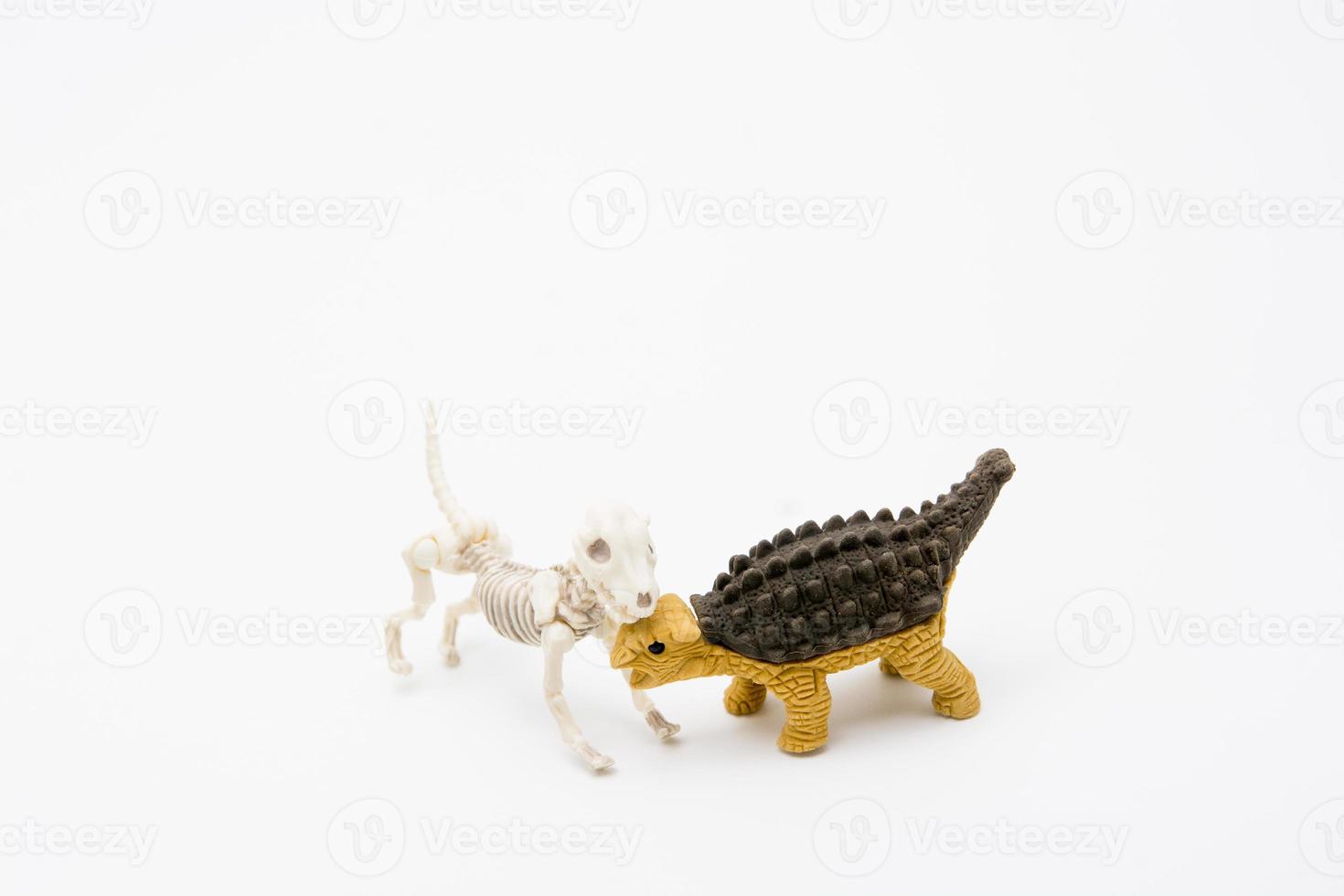 Skeleton dog and Ankylosaurus photo