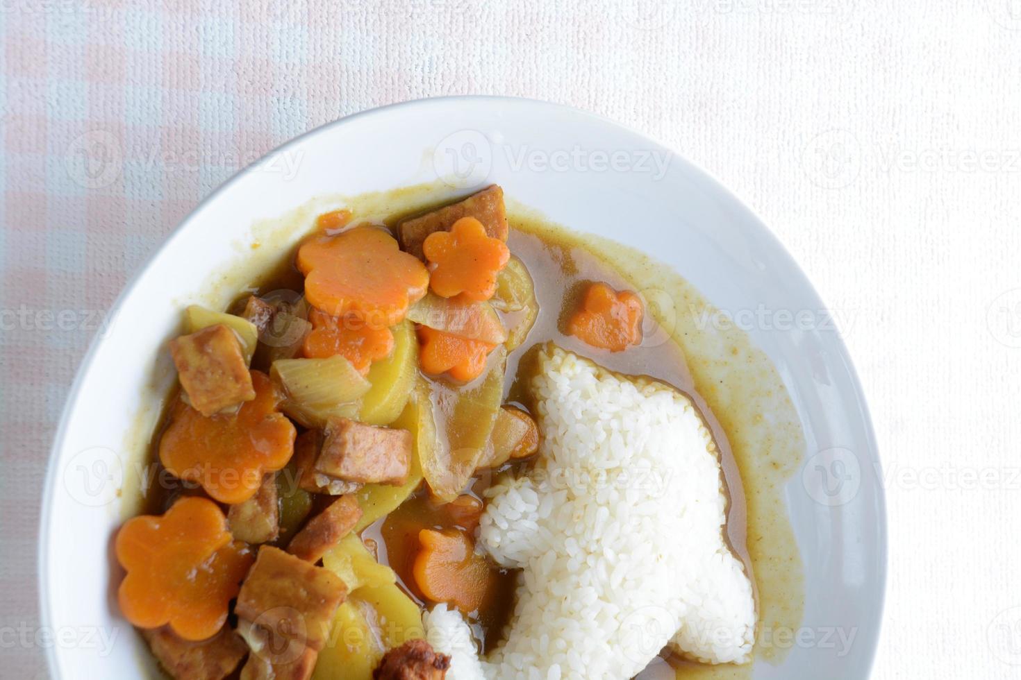 Japanese curry with dolphin rice shape and fried chicken. photo