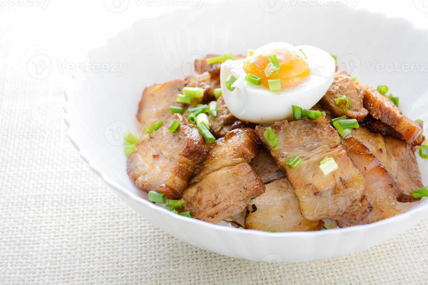 Bowl of rice topped with Braised pork belly and boiled egg, Japanese