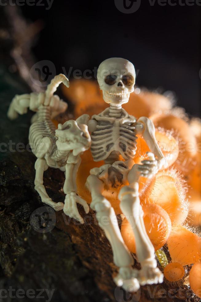 Skeleton sitting with his dog in the woods photo