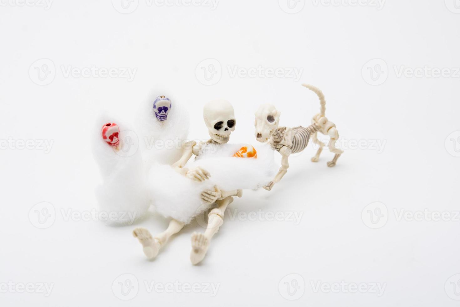 Skeleton mother with her children and a skeleton dog photo