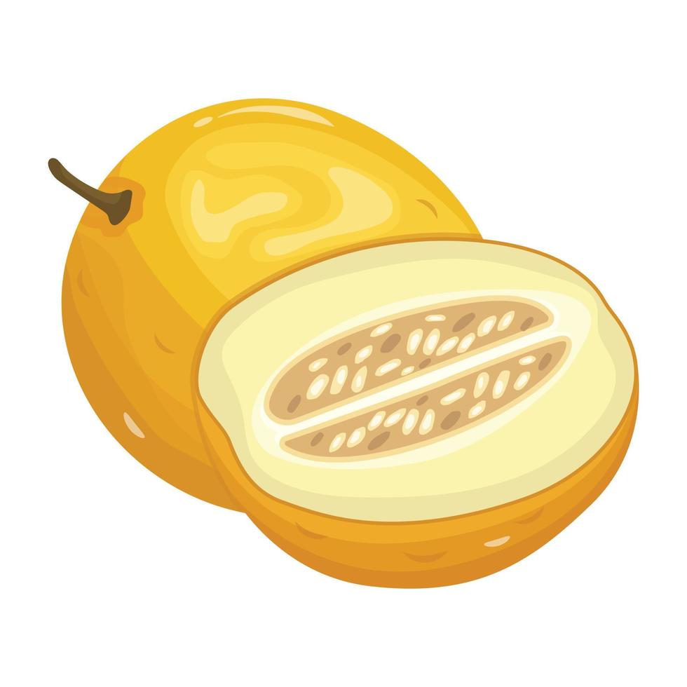 An icon of melon in isometric style vector