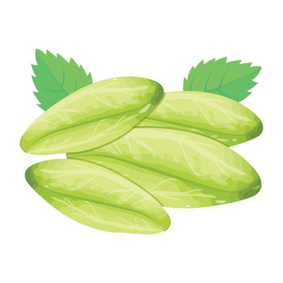 Catchy isometric icon of endive is ready for use vector