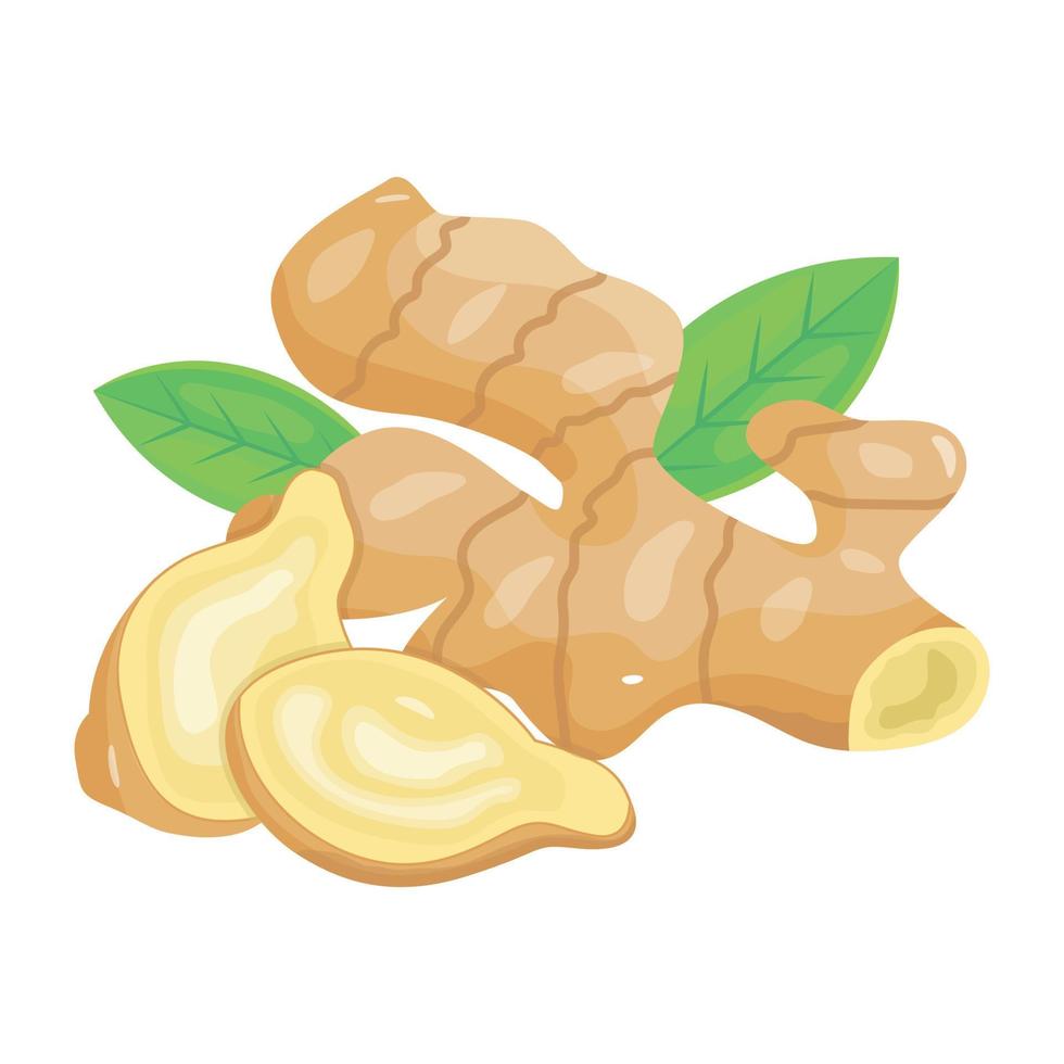 A well-designed isometric icon of ginger vector