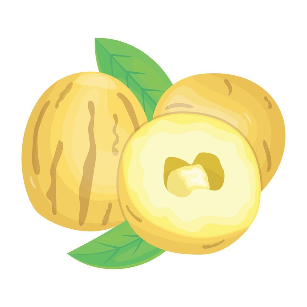 un ícono de melón dulce en estilo isométrico vector