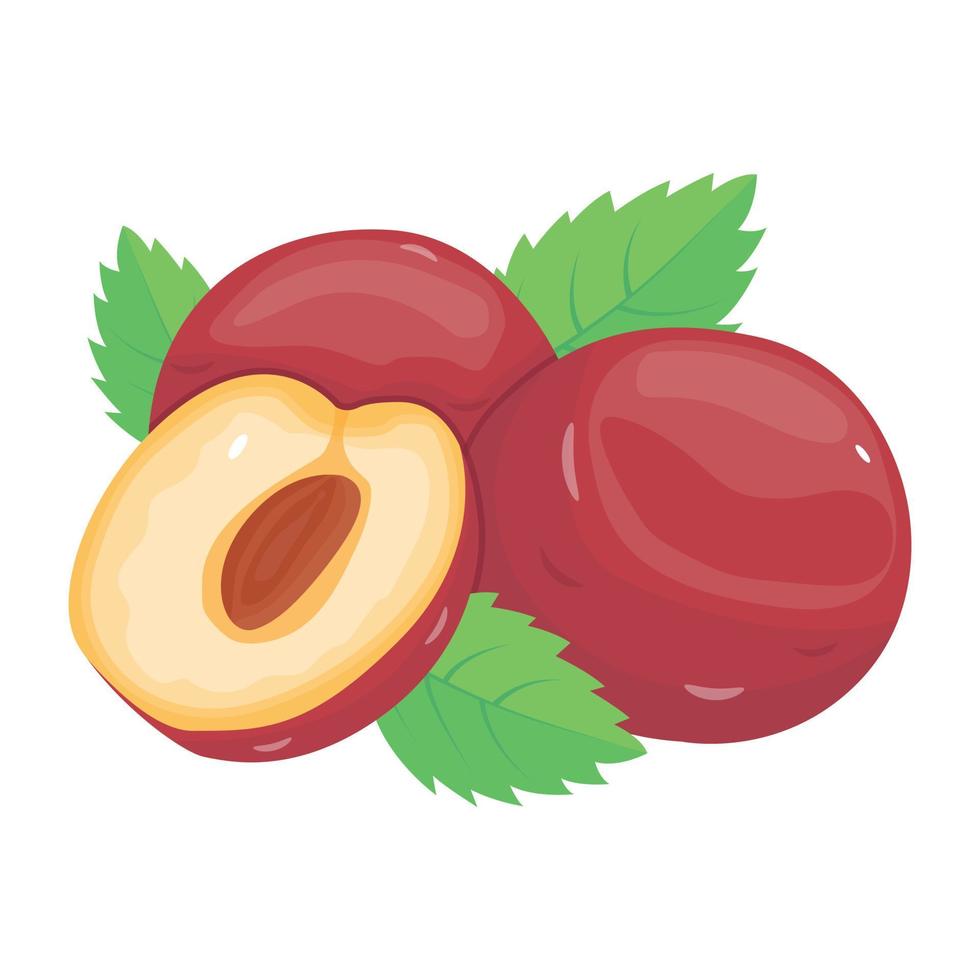 Visually appealing isometric icon of plums vector