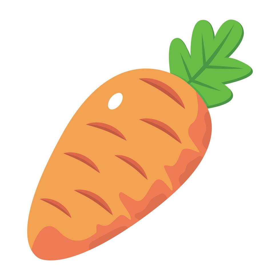 A trendy isometric icon of carrot is ready for premium use vector