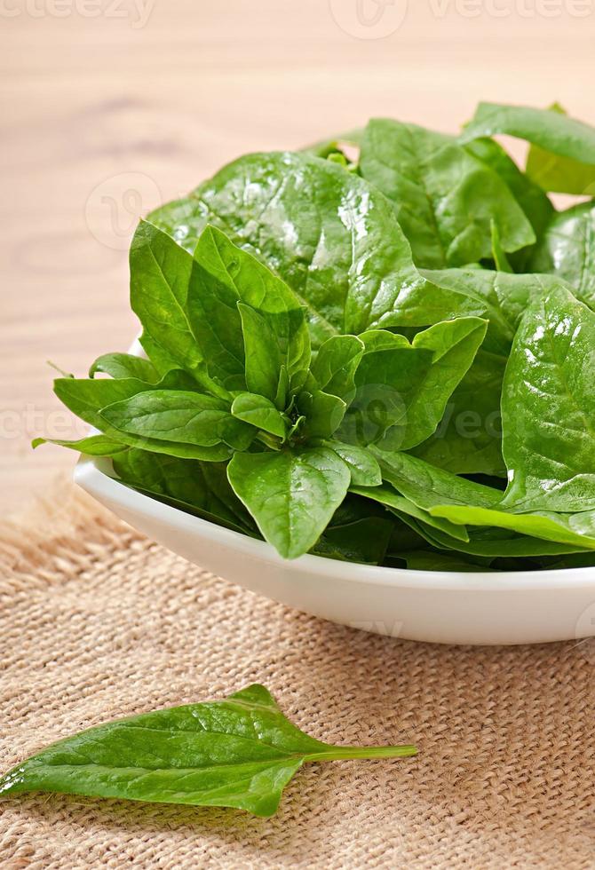 washed spinach leaves in a bowl on a wooden table photo