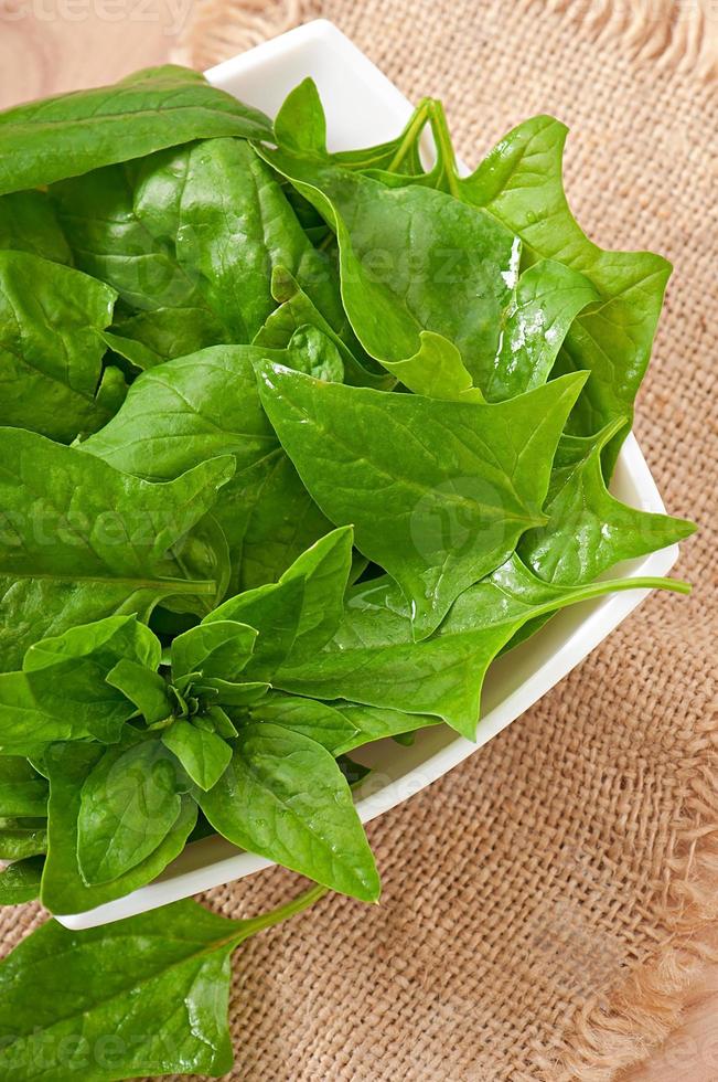 washed spinach leaves in a bowl on a wooden table photo