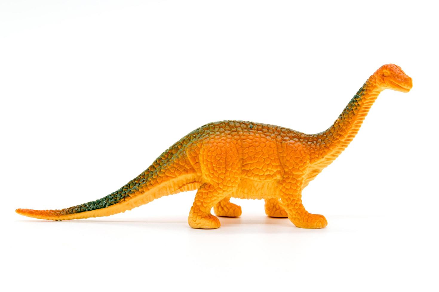 Brachiosaurus dinosaur toy model on white background photo