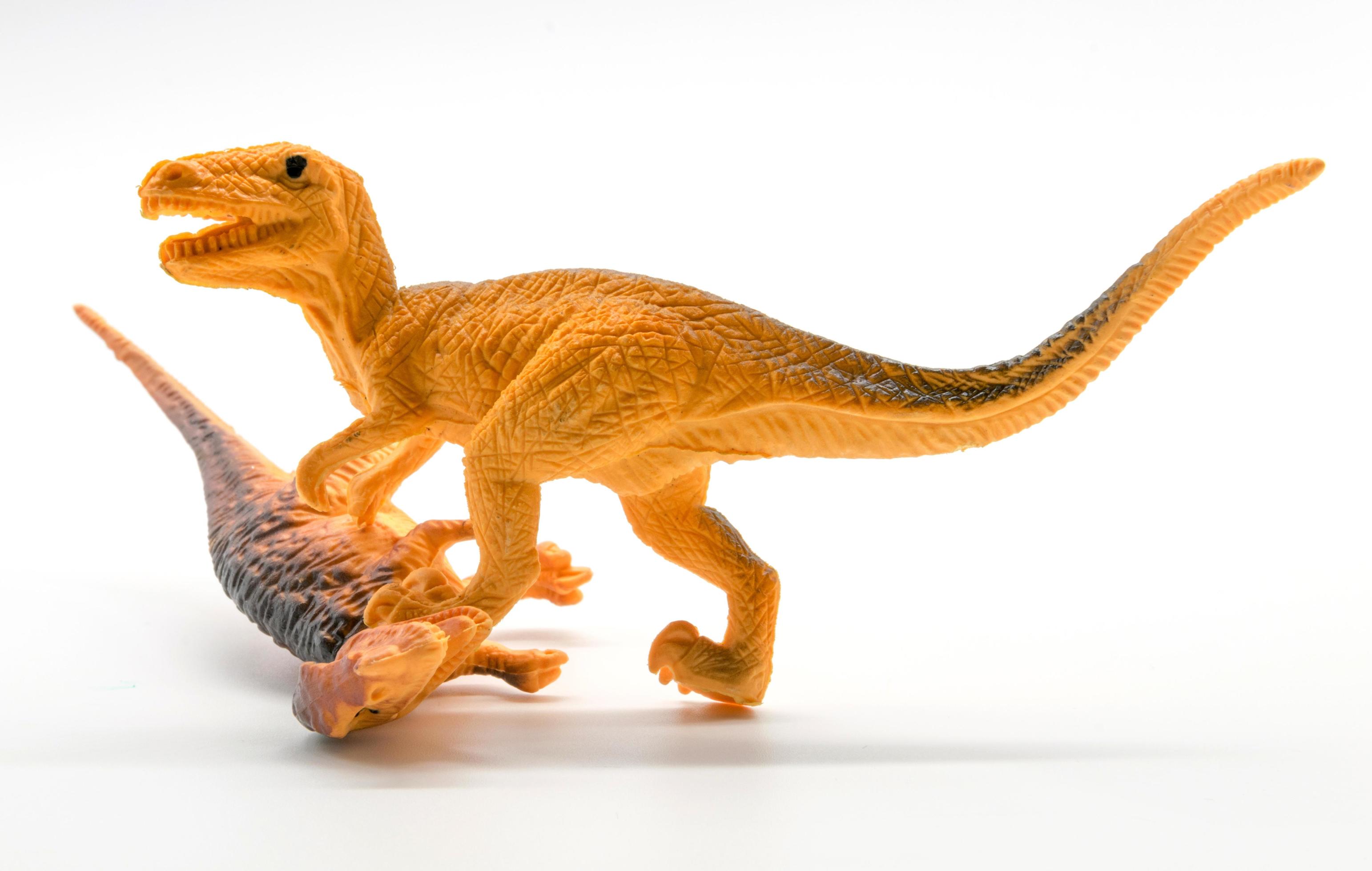 escena de pelea de dinosaurios sobre fondo blanco 7133114 Foto de stock en  Vecteezy