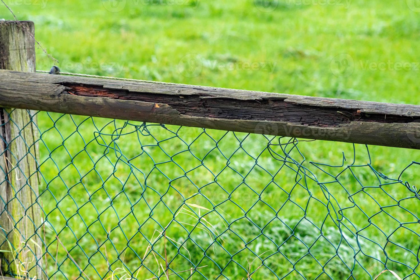 closeup of a wooden fence photo