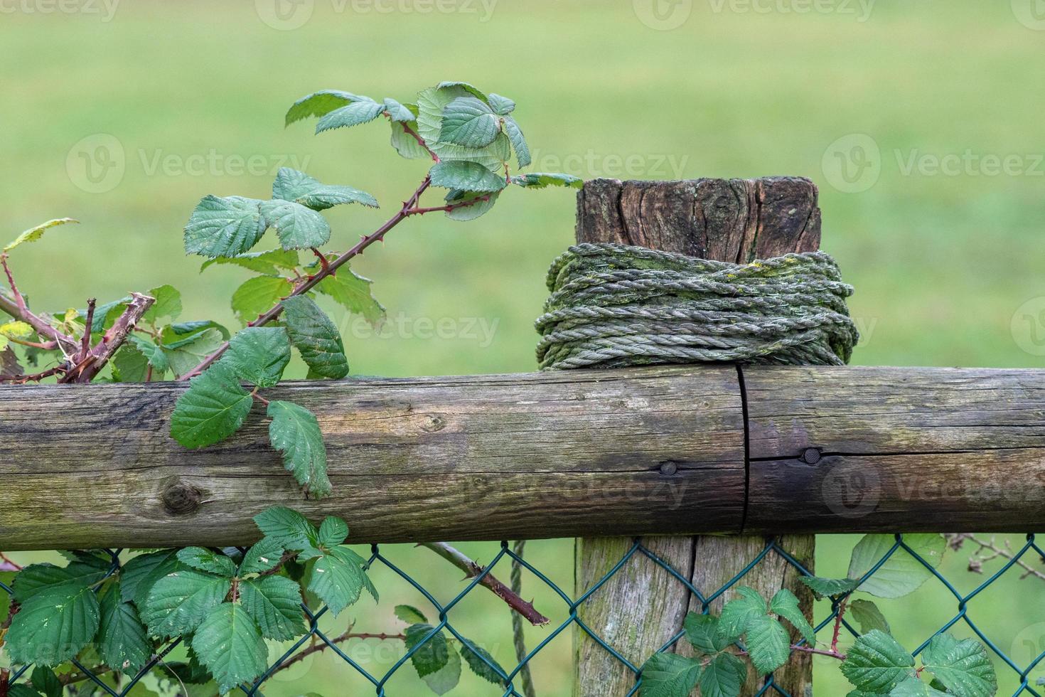 closeup of a wooden fence with rope photo